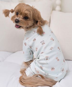 강아지 테디 항균 올인원 민트