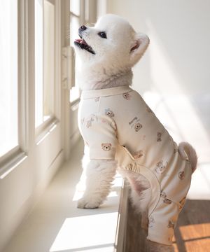 강아지 테디 항균 올인원 베이지