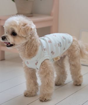 강아지 테디 항균 슬리브리스 민트