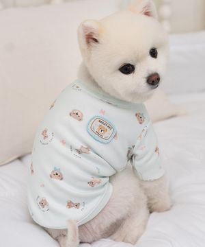 강아지 테디 항균 티셔츠 민트