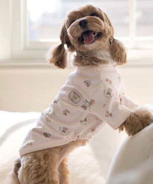 강아지 테디 항균 티셔츠 핑크