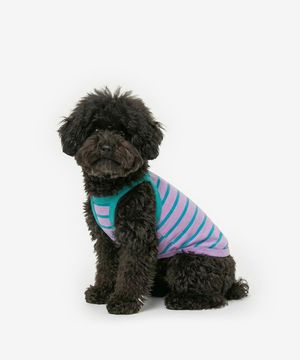 강아지 캔디 나시 여름옷 (바이올렛)