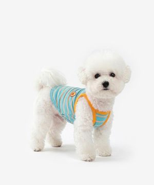 강아지 캔디 나시 여름옷 (민트블루)