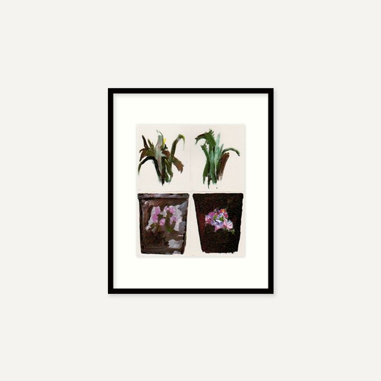 제라드 가시오로프스키 Fleurs n221/222 (액자 포함)
