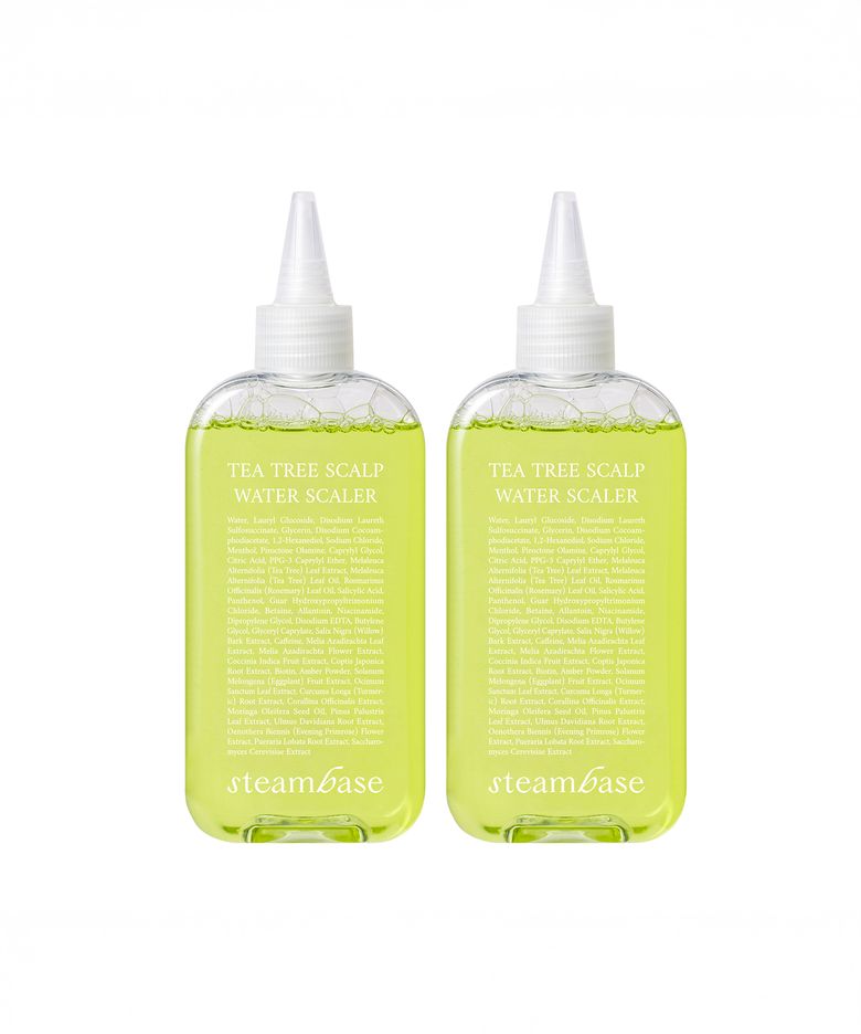정수리 냄새 고민해결 두피각질 티트리 스케일러 250ml 2개