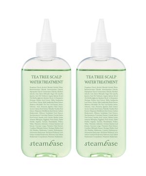 지성두피 올인원 티트리 트리트먼트 250ml 2개