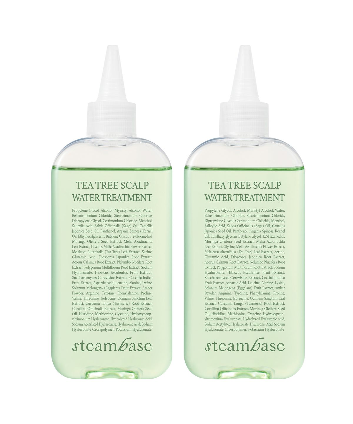 스팀베이스(STEAMBASE) 지성두피 올인원 티트리 트리트먼트 250ml 2개