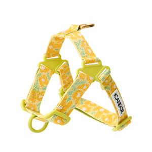 노-풀 하네스_빅피쉬 옐로우