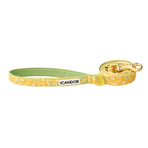 젠틀 리쉬_빅피쉬 옐로우(1.6M)