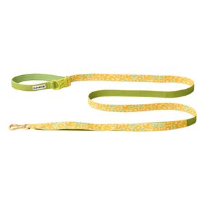 젠틀 리쉬 볼트_빅피쉬 옐로우