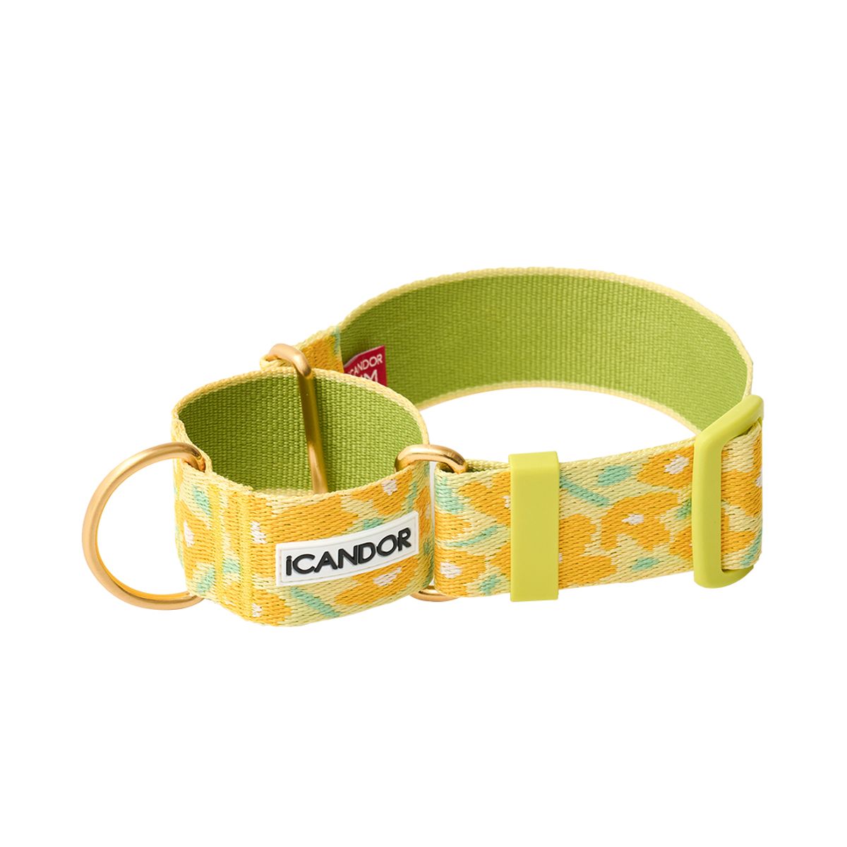아이캔더(ICANDOR) 스무스 마틴게일 카라 38mm_빅피쉬 옐로우