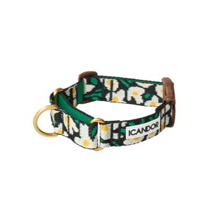 마틴게일 카라 버클_빅피쉬