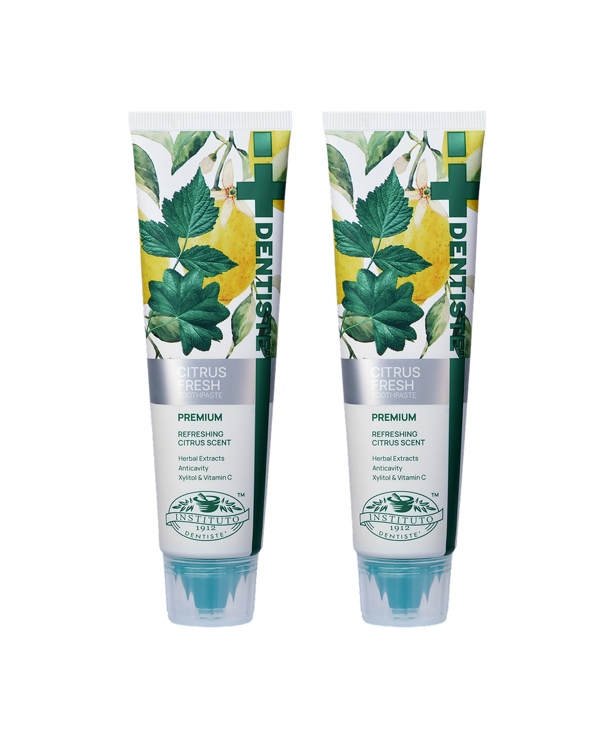 덴티스테(DENTISTE) 덴티스테 시트러스 후레쉬 치약 100g x 2개