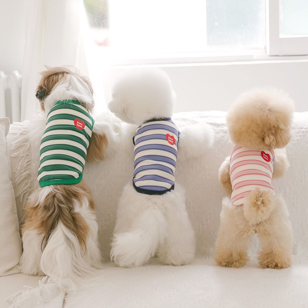 펫츠랜드(PETSLAND) 데일리하트티셔츠 S-2XL