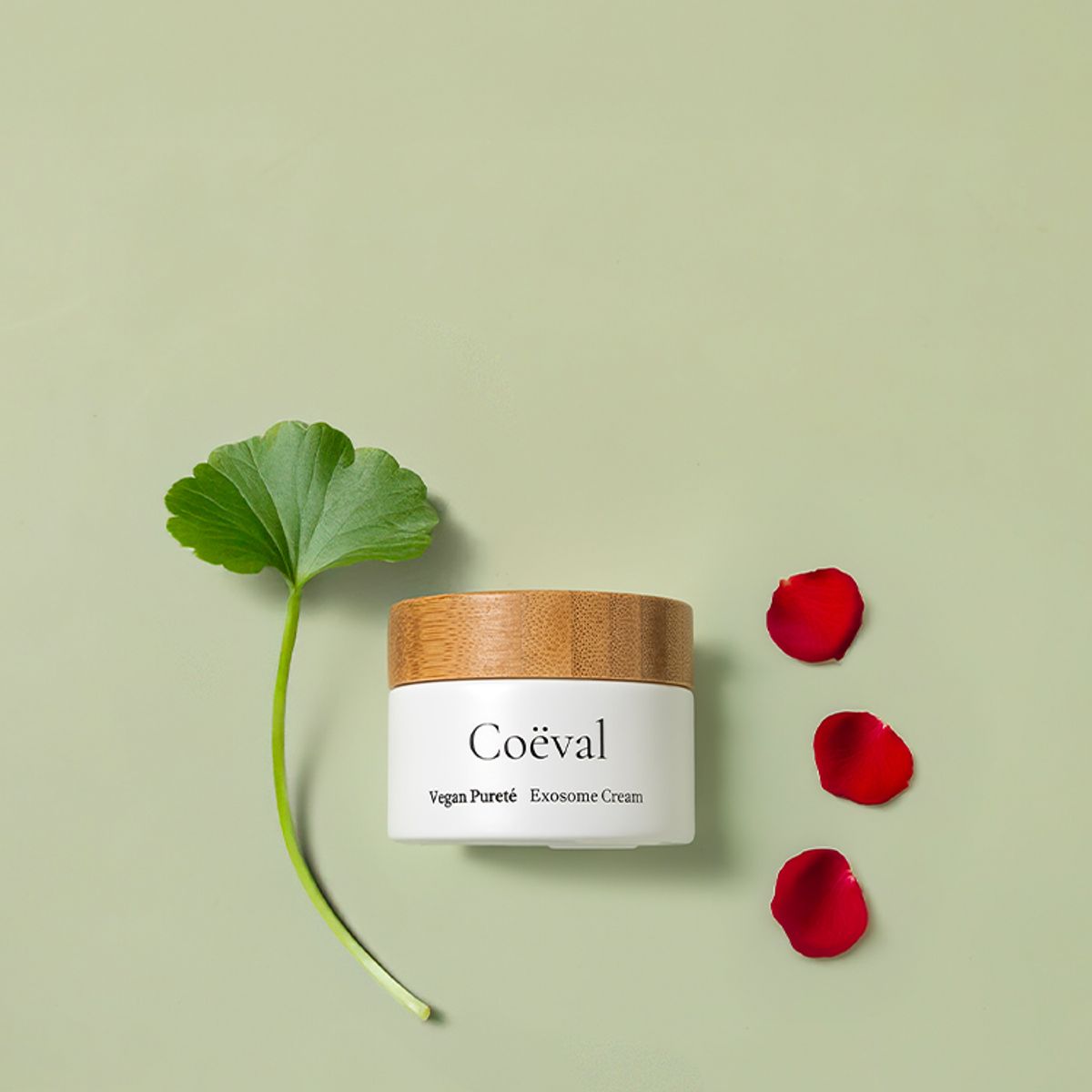 코에벨(COEVAL) 비건 퓌르떼 엑소좀 크림 50g