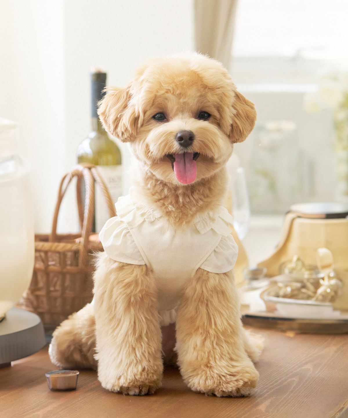 마이리틀독(MY LITTLE DOG) 버터 프릴 레이어드 블라우스
