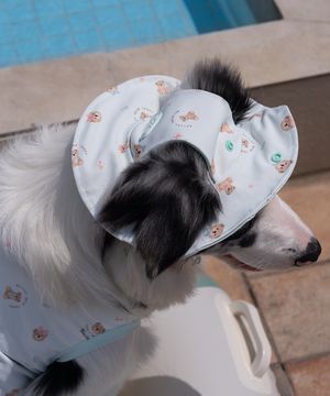 강아지모자 쿨링테디캡 스카이