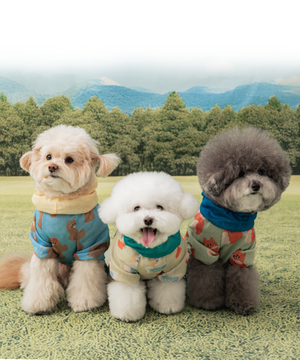 안티버그 에어리 올인원 (3 colors)