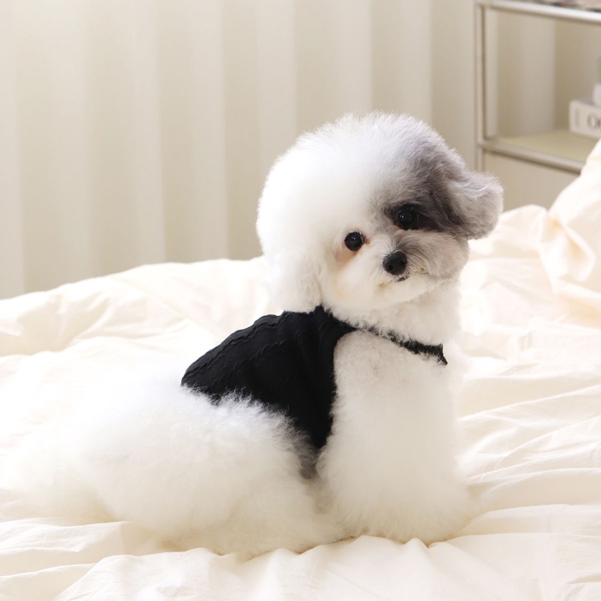 쉬오트(CHIOT) 쉬오트 뮤즈 니트 탑 (블랙)