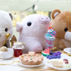 미니 돼지 피기