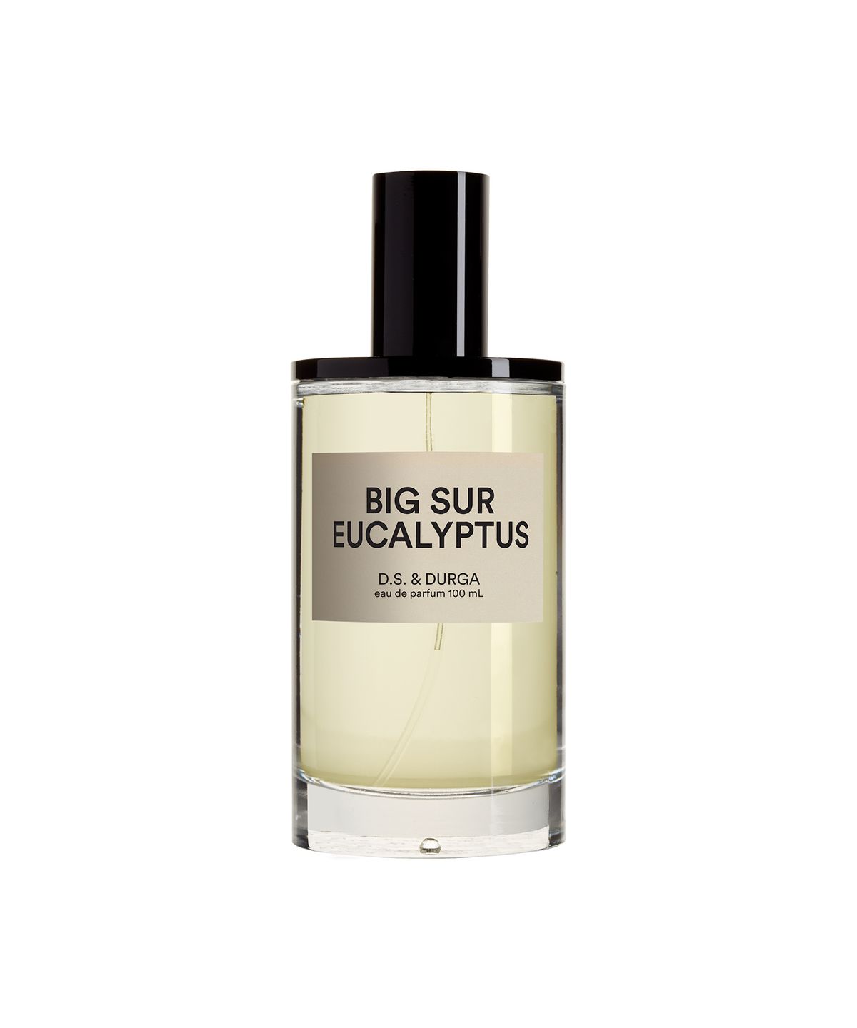 디에스앤더가(DS&DURGA) 빅 서 유칼립투스 오 드 퍼퓸 100ml
