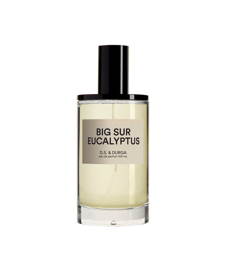 빅 서 유칼립투스 오 드 퍼퓸 100ml