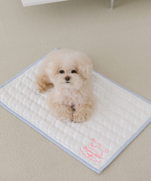 SSFW 썸머 듀라론 쿨매트 (2 colors)