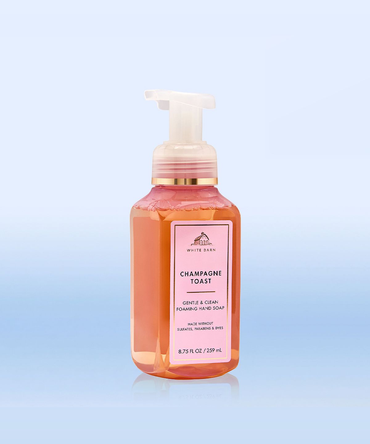 배스앤바디웍스(BATH&BODY WORKS) 시그니처 포밍 핸드솝 259ml