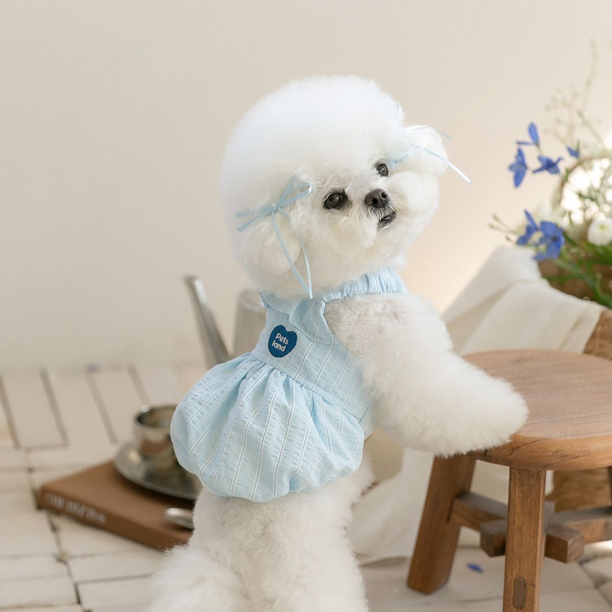 펫츠랜드(PETSLAND) 마르떼원피스 S-2XL