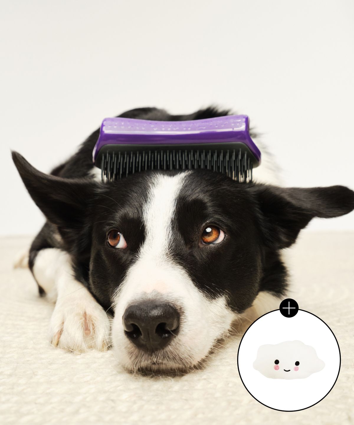 탱글티저(TANGLE TEEZER) 펫티저 디쉐딩 퍼플/그레이