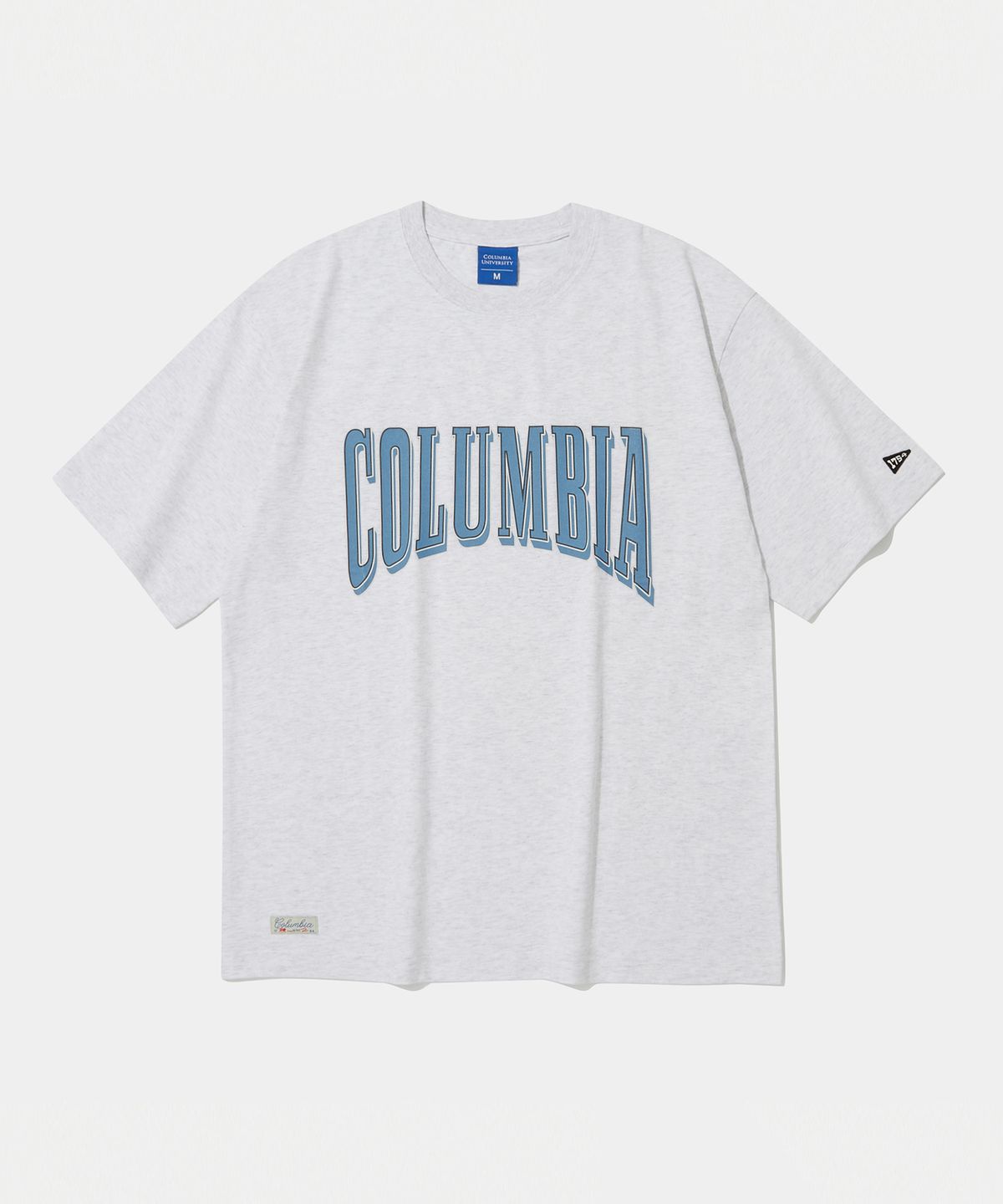 컬럼비아 유니버시티(COLUMBIA UNIVERSITY) VTG CRACK LOGO S/S T-SHIRTS LIGHT MELANGE