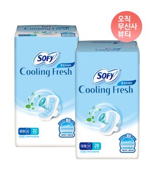 쿨링프레쉬 생리대 날개형  x 2팩 (중형/대형)