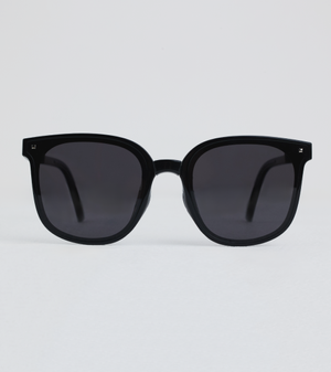 BS 폴라핏폴딩 선글라스(편광렌즈)(Black/Black)