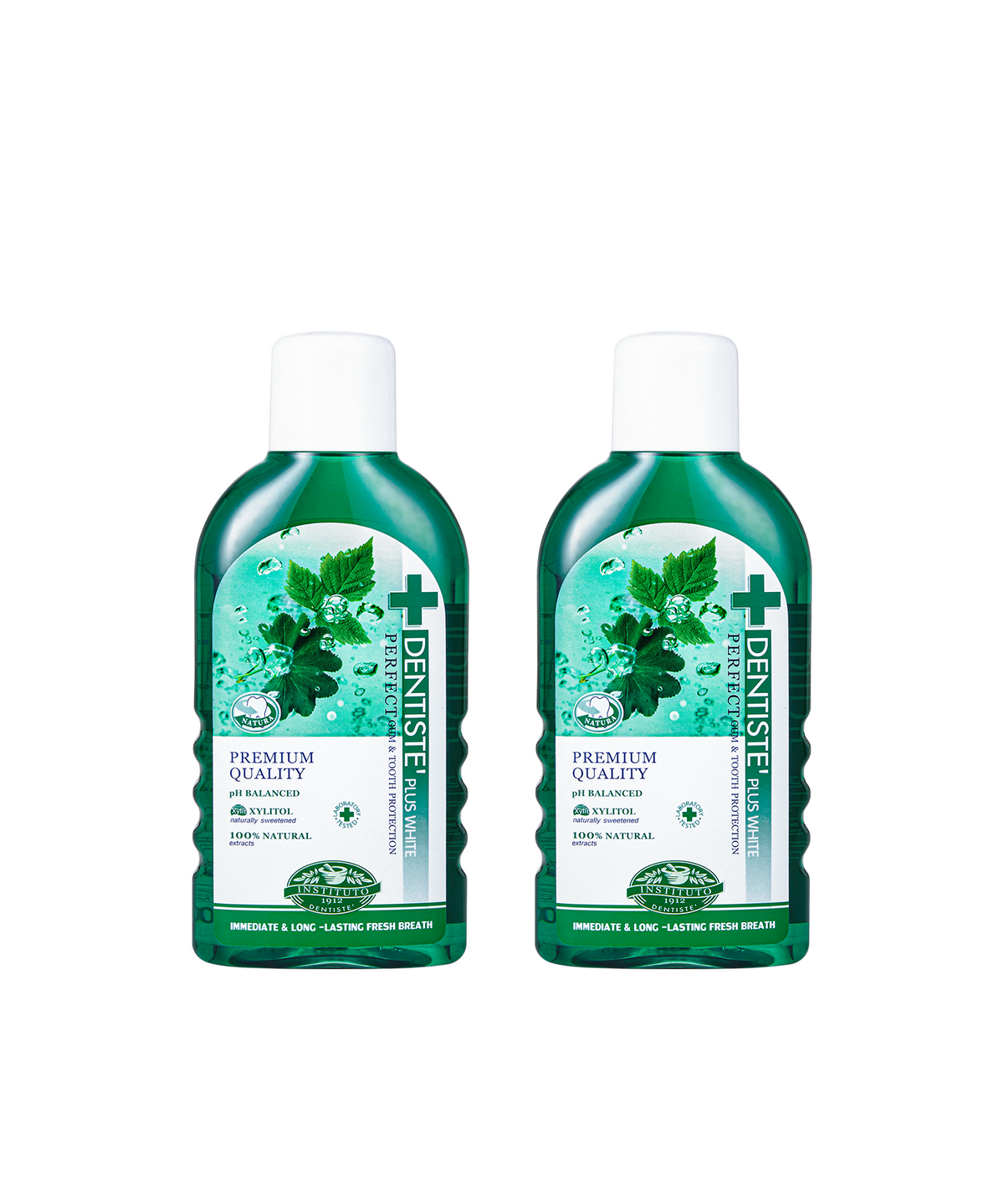 덴티스테(DENTISTE) 덴티스테 내츄럴 오랄린스 450ml x 2개