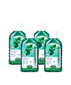 덴티스테 내츄럴 오랄린스 450ml x 4개