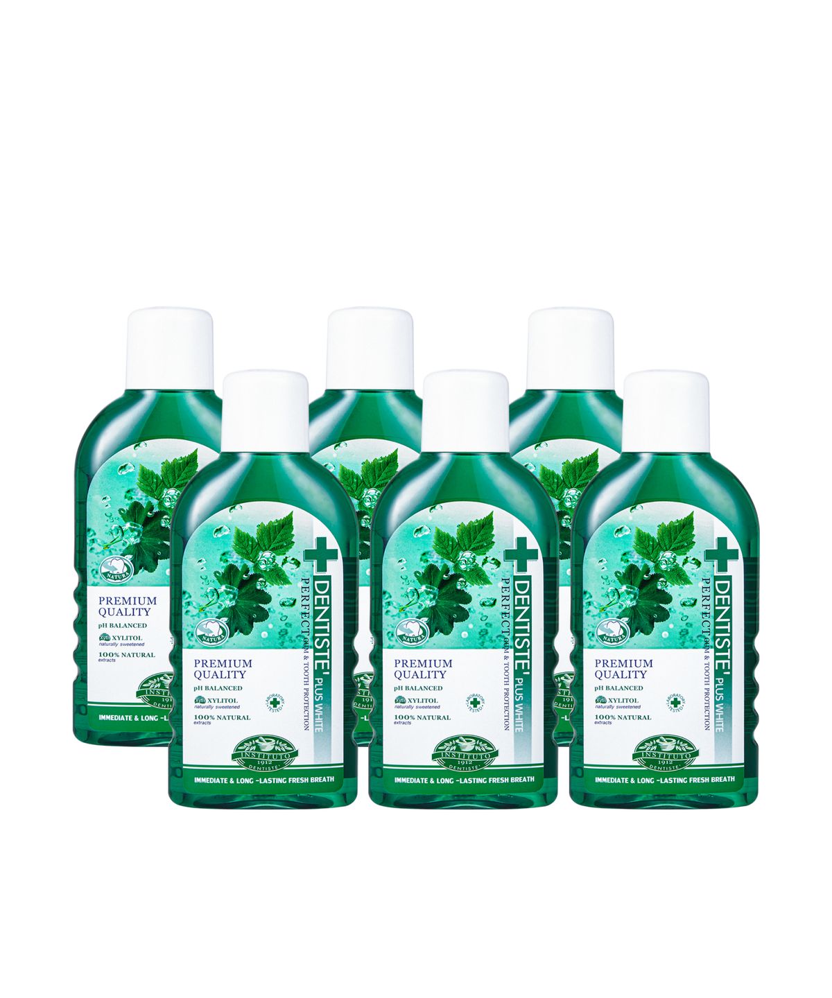 덴티스테(DENTISTE) 덴티스테 내츄럴 오랄린스 450ml x 6개