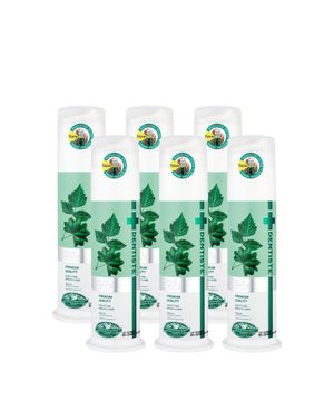 덴티스테 뉴 플러스화이트 펌프치약 120g x 6개