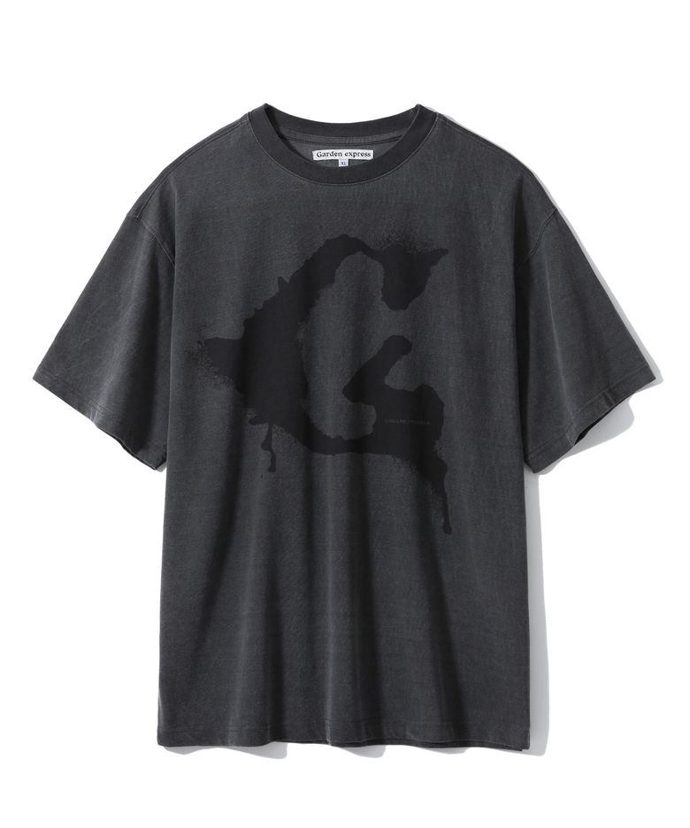 Pigment Graphic T-shirt (charcoal)