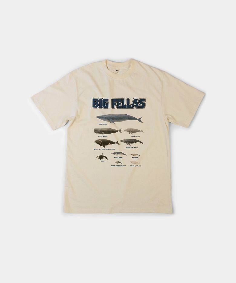 白(백) : BIG FELLAS