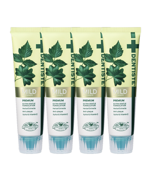 덴티스테  마일드 치약 60g x 4개