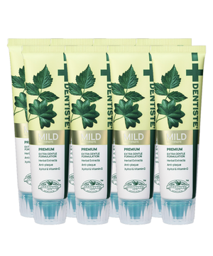덴티스테  마일드 치약 60g x 8개