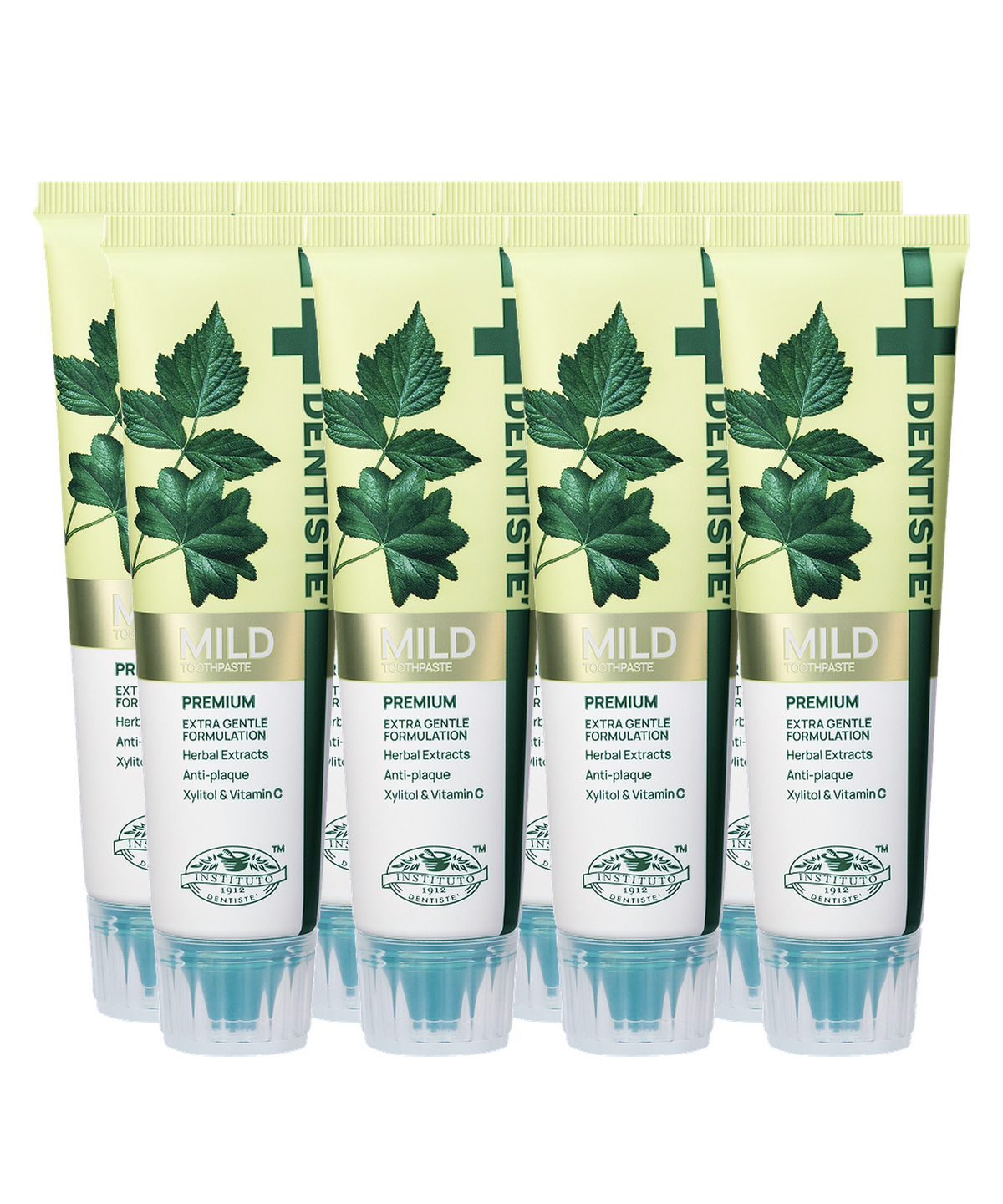 덴티스테(DENTISTE) 덴티스테  마일드 치약 60g x 8개