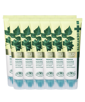 덴티스테  마일드 치약 60g x 12개