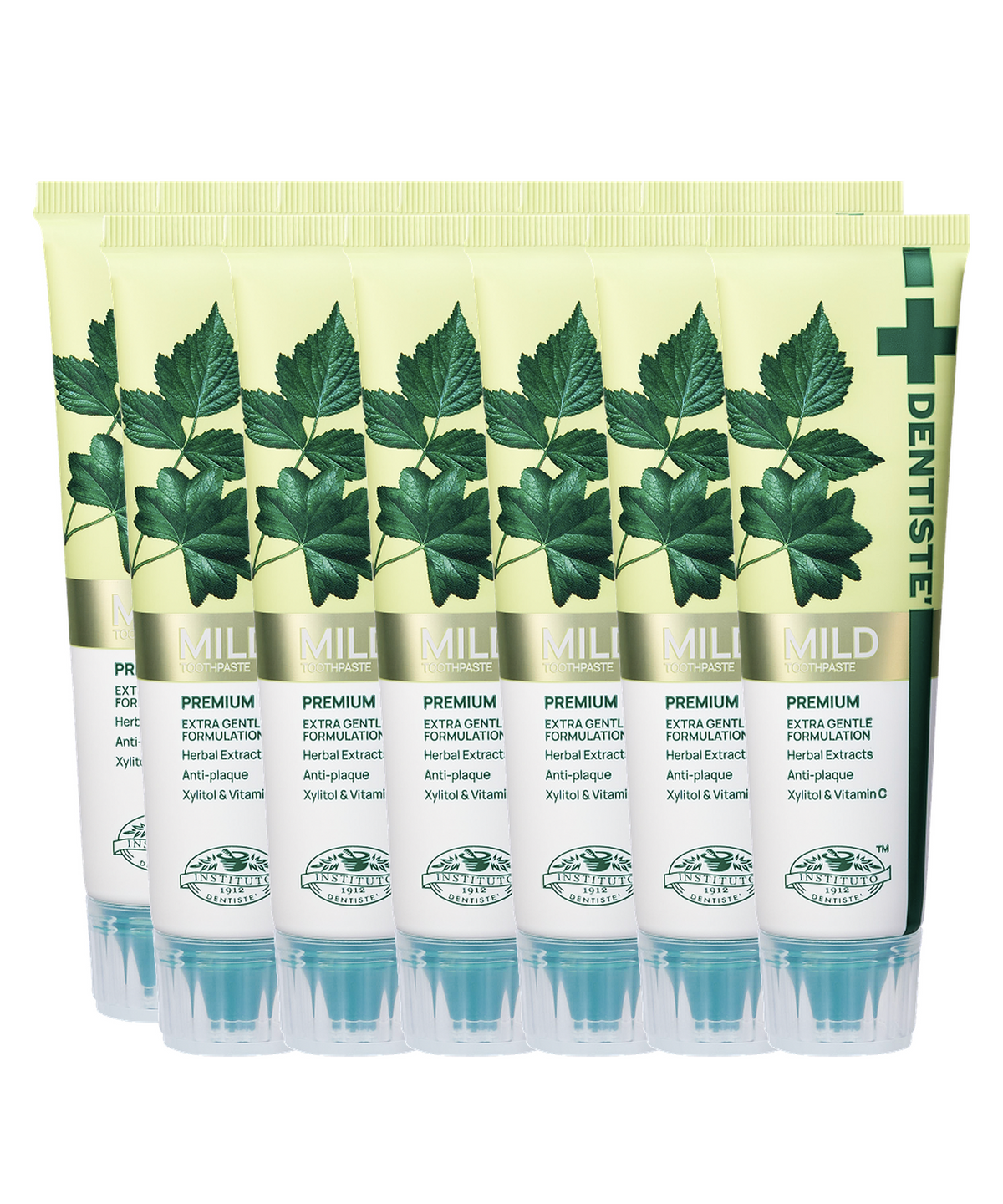 덴티스테(DENTISTE) 덴티스테  마일드 치약 60g x 12개