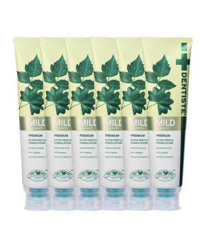 덴티스테  마일드 치약 160g x 6개