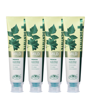 덴티스테  마일드 치약 200g x 4개