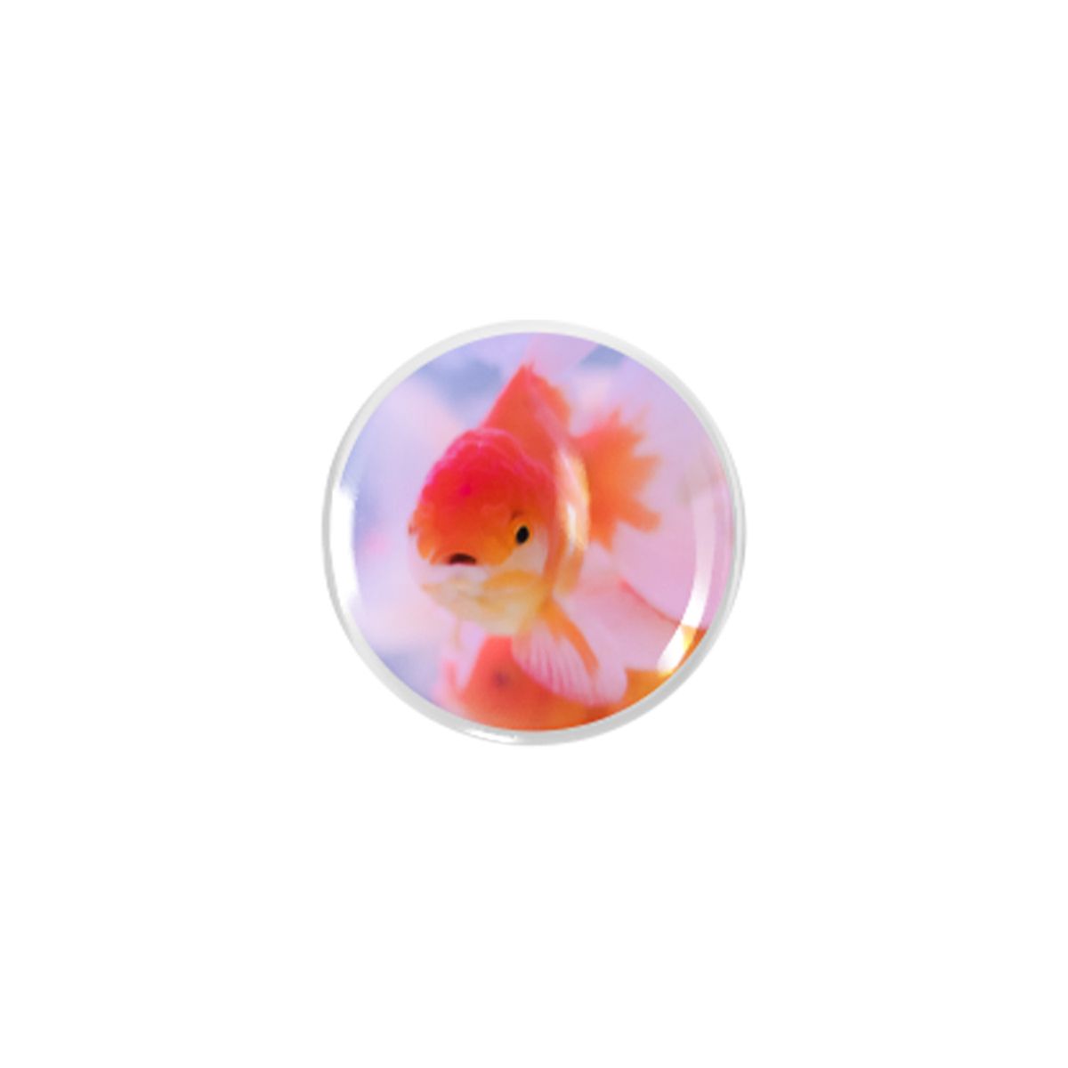 엘레나 러브(ELENALOVE) [Bead tok]Goldfish families구슬톡