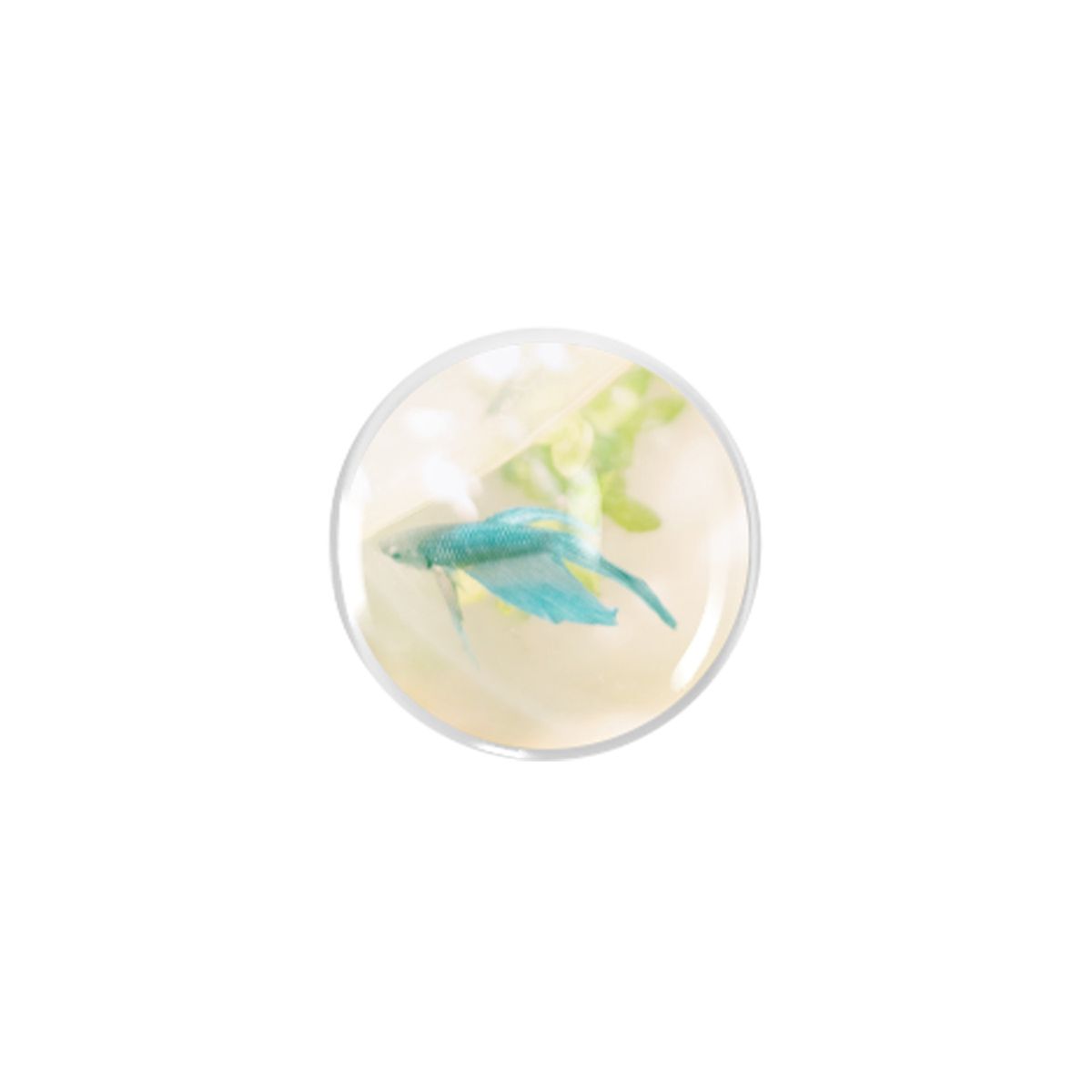 엘레나 러브(ELENALOVE) [Bead tok] Blue tropical fish 구슬톡