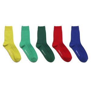 [비비드 컬러 5팩]WORK22 메시&립 패턴 양말