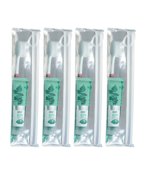 덴티스테 여행용세트 (치약칫솔구성) x 4개